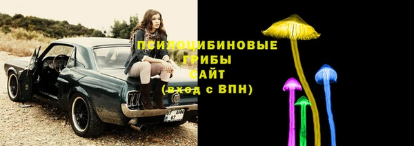 эйфоретик Майский