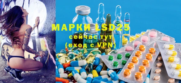 эйфоретик Майский