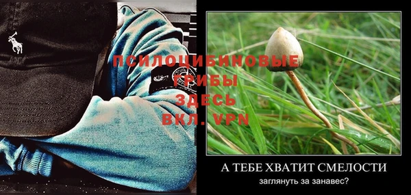 альфа пвп VHQ Магас