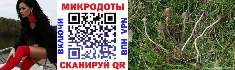 Галлюциногенные грибы мицелий  Хвалынск 